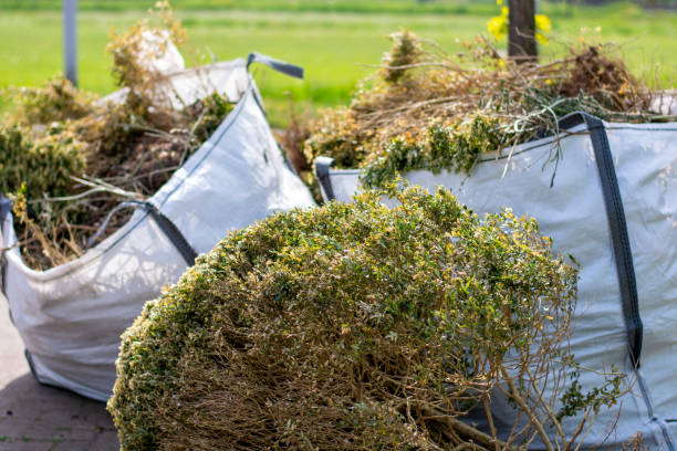 Professional Junk Removal Services in Holliday, TX